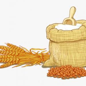 Imagen de portada del videojuego educativo: Cereales, de la temática Alimentación