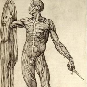 Humanismo