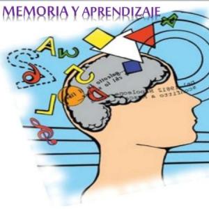 Memoria y aprendizaje 