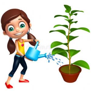DESCUBRE LAS PARTES DE LA PLANTA