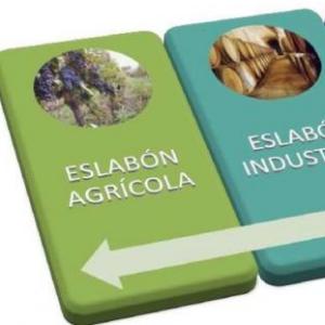circuitos productivos