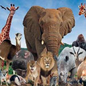 Poblaciones Humanas y su influencia en el medio ambiente