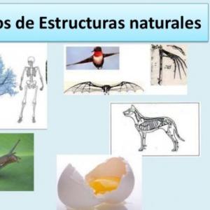 TRIBIA DE LAS ESTRUCTURAS