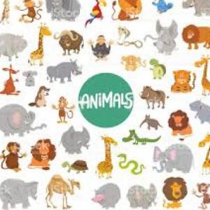 Portada del juego MARERICUS PLAY – Idiomas