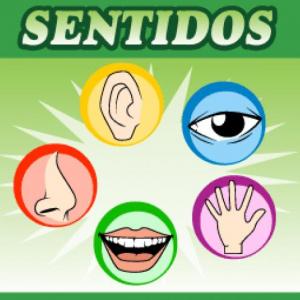 Imagen de portada del videojuego educativo: los sentidos, de la temática Salud