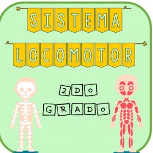 Imagen de portada del videojuego educativo: Sistema locomotor, de la temática Ciencias