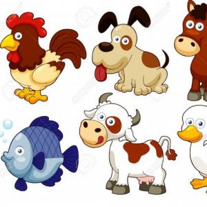 Portada del juego ANIMALS – Idiomas