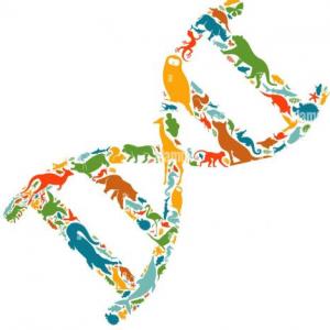 BIODIVERSIDAD