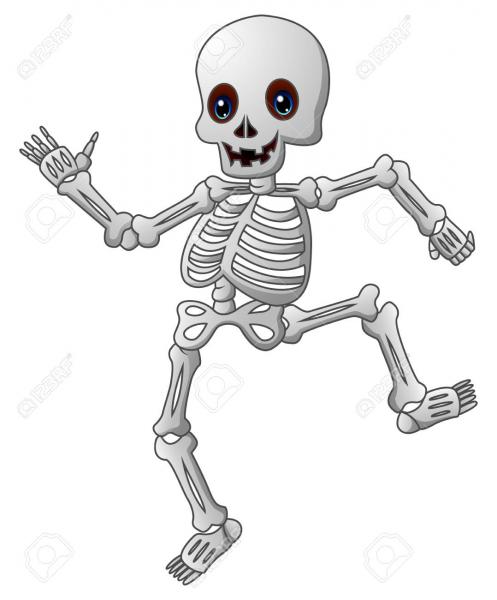 EL SISTEMA OSTEOMUSCULAR