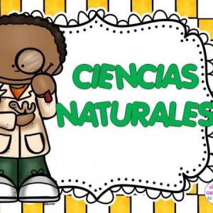 CONOCIMIENTO DEL CUERPO HUMANO