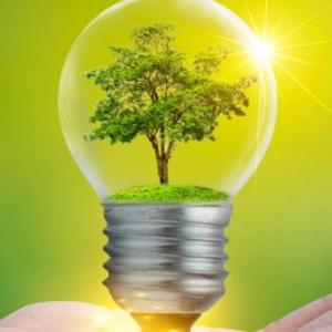 cuidado del  medio ambiente