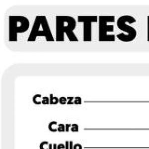 Partes del cuerpo
