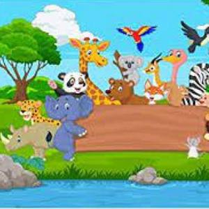 reino animal