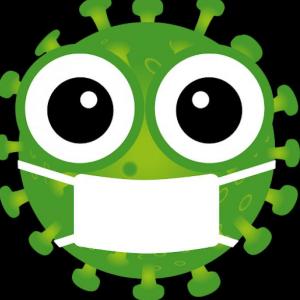 Historia coronavirus