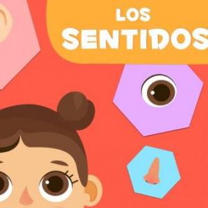 Los sentidos.