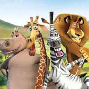 CONOCE A LOS ANIMALES DE LA JUNGLA
