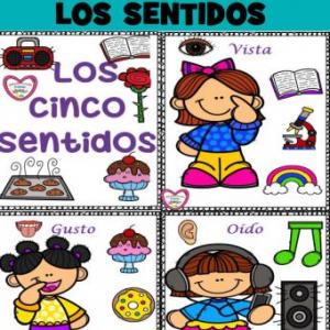 LOS SENTIDOS