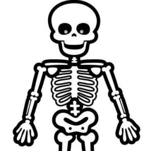 CURIOSIDADES DEL CUERPO HUMANO