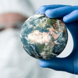 The Pandemic in the Environment (La Pandemia en el Medio Ambiente)