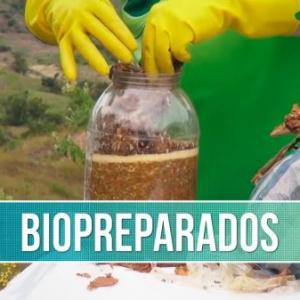 Biopreparados para Mark