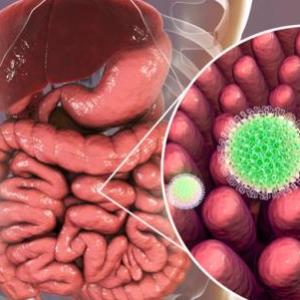 ROTAVIRUS