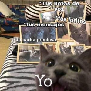 Nuestra trivia :3