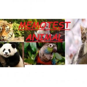 MEMOTEST ANIMAL