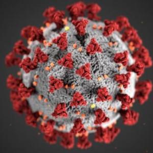 ¿Cómo prevenimos los contagios por el COVID-19?