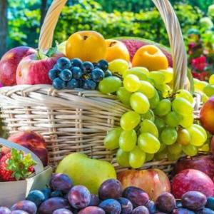 Portada del juego APRENDO A LEER LAS FRUTAS – Lengua