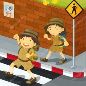 Seguridad vial