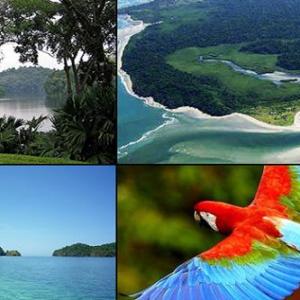 Ecology 
