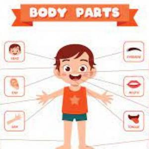 Portada del juego Parts of the body – Idiomas