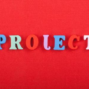 Proyecto Interdisciplinario