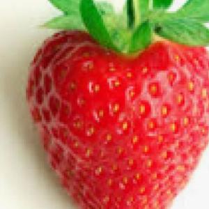 conociendo las frutas
