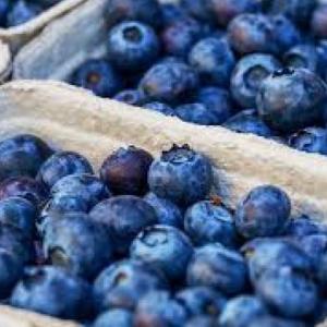 Aprendo a leer con las frutas