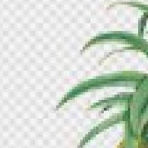APRENDO A LEER LAS FRUTAS