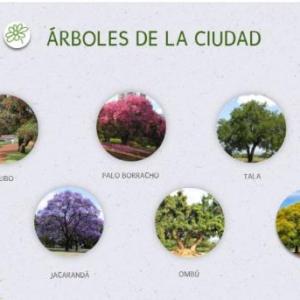 Imagen de portada del videojuego educativo: LOS ÁRBOLES DE LA CUIDAD, de la temática Medio ambiente