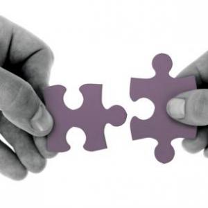 Joint Venture 1.1