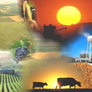 VIVIR Y TRABAJAR EN EL CAMPO