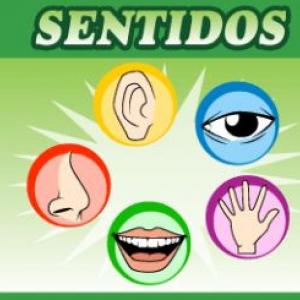 LOS SENTIDOS