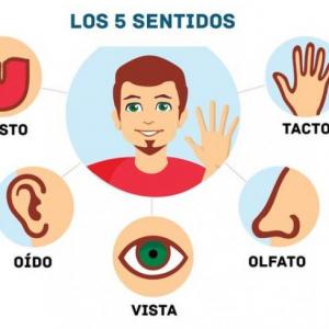 LOS SENTIDOS