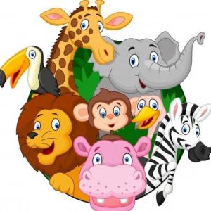 Clasificación de los Animales