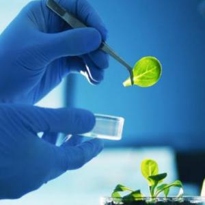 Investigacion cientifica