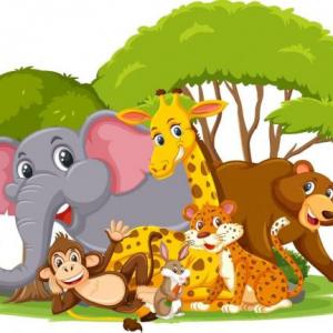 Los Animales del Reino Animal