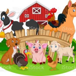 DESCUBRE LOS ANIMALES DE LA GRANJA