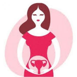 Partes del Sistema Reproductor Femenino