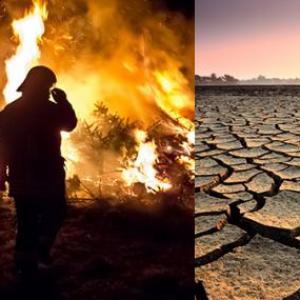 Efectos diversos del cambio climático global en el planeta.