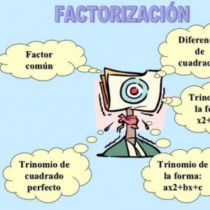 OCA FACTORIAL