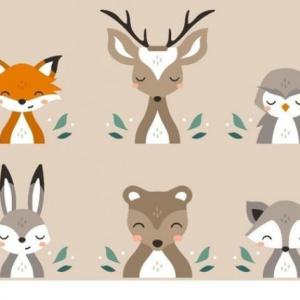 Memotes de Animales