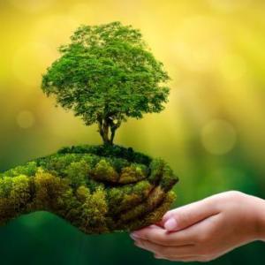 JUEGO SOBRE EL MEDIO AMBIENTE